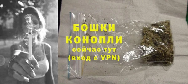 PSILOCYBIN Янаул