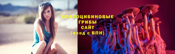 PSILOCYBIN Янаул