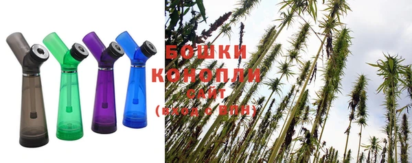 PSILOCYBIN Янаул