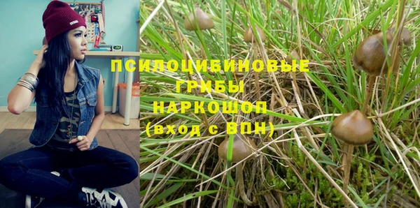 герыч Яровое