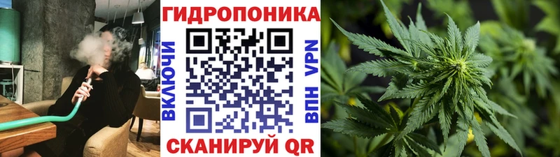 Каннабис ГИДРОПОН  Купить где  Нефтекумск 